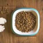 dog-food-5168940_960_720.jpg