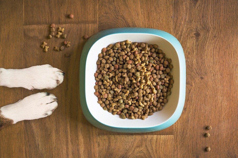 dog-food-5168940_960_720.jpg