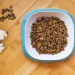 dry-dog-food-5198627_960_720.jpg