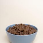 dry-dog-food-7336506_960_720.jpg