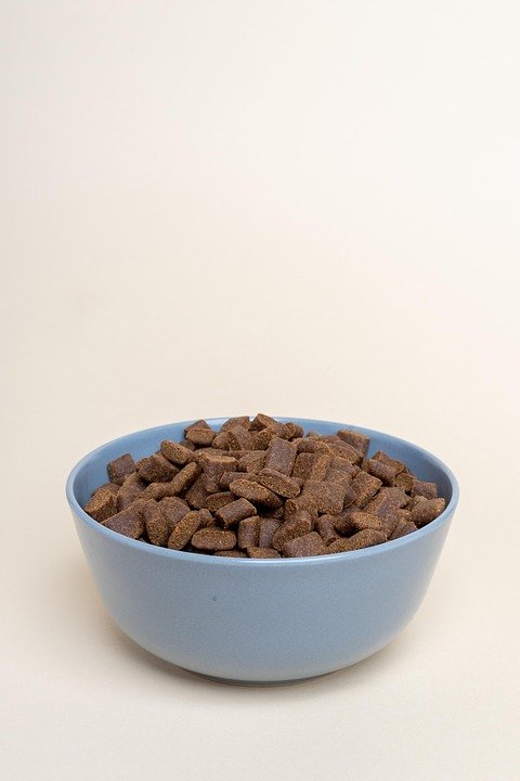 dry-dog-food-7336506_960_720.jpg
